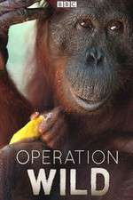 Watch Operation Wild M4ufree
