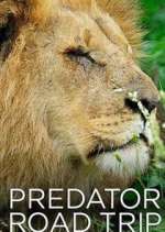 Watch Predator Road Trip M4ufree