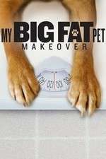 Watch My Big Fat Pet Makeover M4ufree