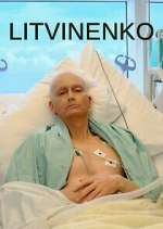Watch Litvinenko M4ufree