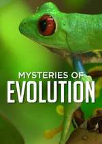 Watch Mysteries of Evolution M4ufree