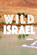 Watch Wild Israel M4ufree
