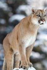 Watch Race of Life M4ufree