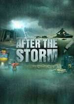 Watch After the Storm M4ufree