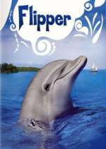 Watch Flipper M4ufree