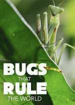 Watch Bugs that Rule the World M4ufree