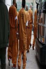 Watch First Week In M4ufree