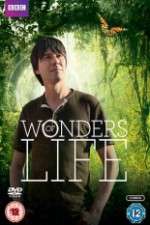 Watch Wonders Of Life M4ufree