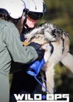 Watch Wild Ops M4ufree