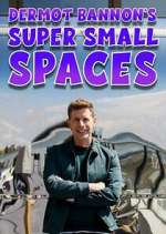 Watch Dermot Bannon's Super Small Spaces M4ufree