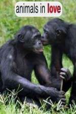 Watch Animals in Love M4ufree