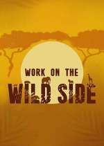 Watch Work on the Wild Side M4ufree