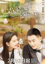 Watch Everyone Wants to Meet You M4ufree