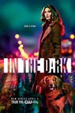 in the dark tv poster