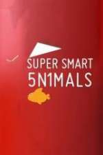 Watch Super Smart Animals M4ufree