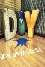 Watch DIY Dummies M4ufree