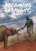Watch Becoming Elephant: The Orphans Of Reteti M4ufree