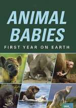 Watch Animal Babies: First Year on Earth M4ufree
