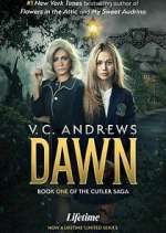 v.c. andrews' dawn tv poster