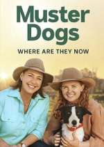 Watch Muster Dogs: Where Are They Now? M4ufree
