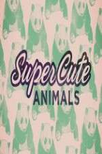Watch Super Cute Animals M4ufree