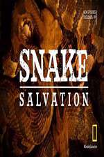Watch Snake Salvation M4ufree