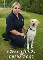 Watch Puppy School for Guide Dogs M4ufree