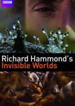 Watch Richard Hammond's Invisible Worlds M4ufree