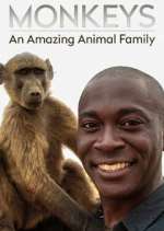 Watch Monkeys: An Amazing Animal Family M4ufree