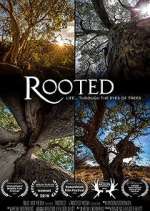 Watch Rooted M4ufree