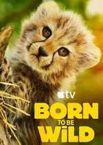 Watch Born to Be Wild M4ufree