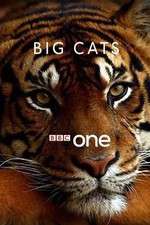 Watch Big Cats M4ufree