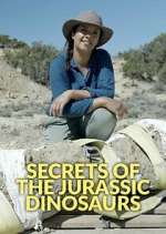 Watch Secrets of the Jurassic Dinosaurs M4ufree