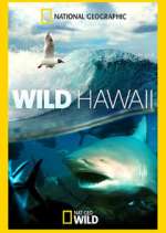 Watch Wild Hawaii M4ufree