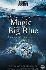 Watch The Magic of the Big Blue M4ufree