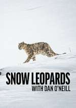 Watch Snow Leopards with Dan O\'Neill M4ufree