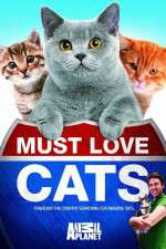Watch Must Love Cats M4ufree