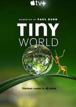 Watch Tiny World M4ufree