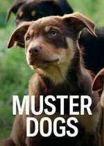 Watch Muster Dogs M4ufree
