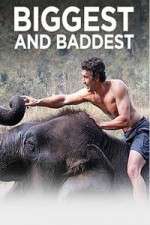 Watch Biggest and Baddest M4ufree