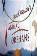 Watch Paul O'Grady's Animal Orphans M4ufree