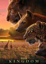 Watch Kingdom M4ufree