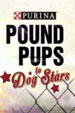 Watch Purina Pound Pups To Dog Stars M4ufree
