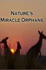 Watch Nature's Miracle Orphans M4ufree