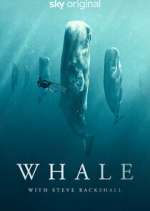 Watch Whale with Steve Backshall M4ufree