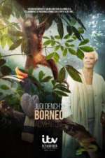 Watch Judi Dench\'s Wild Borneo Adventure M4ufree