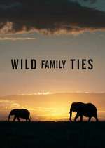 Watch Wild Family Ties M4ufree