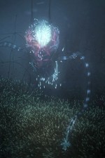 Watch Into the Universe with Stephen Hawking M4ufree