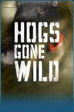 Watch Hogs Gone Wild M4ufree