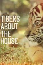 Watch Tigers About the House M4ufree